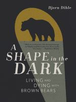 A_shape_in_the_dark